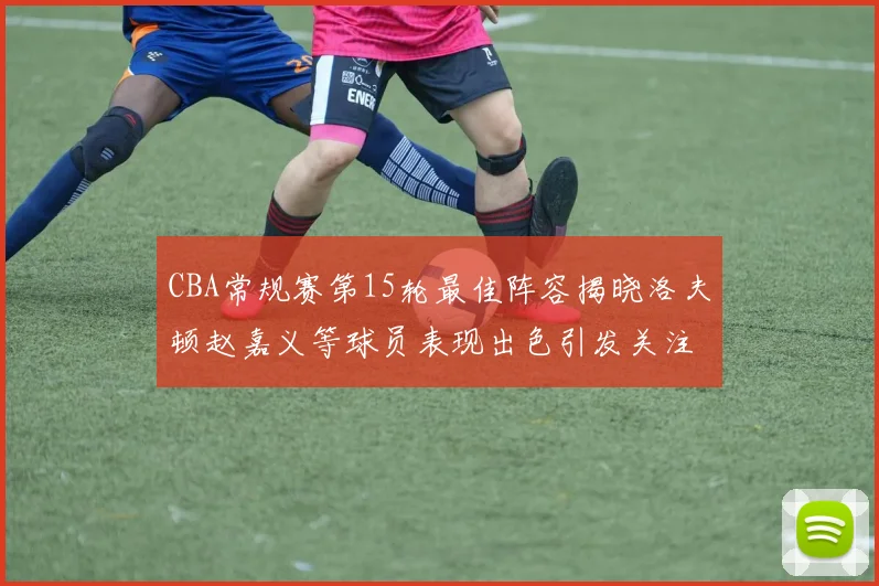 CBA常规赛第15轮最佳阵容揭晓洛夫顿赵嘉义等球员表现出色引发关注