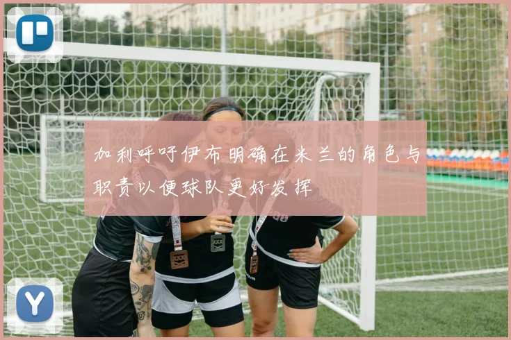 加利呼吁伊布明确在米兰的角色与职责以便球队更好发挥