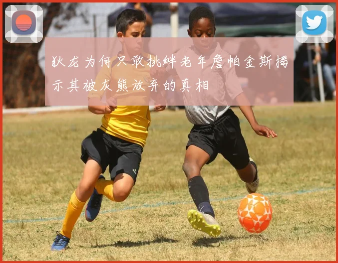 狄龙为何只敢挑衅老年詹帕金斯揭示其被灰熊放弃的真相